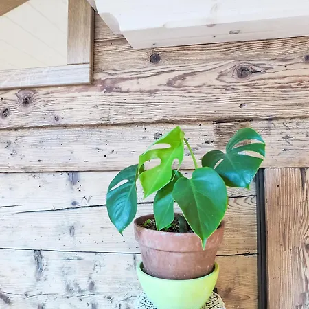 Beim Thor Gross By Interhome Apartament