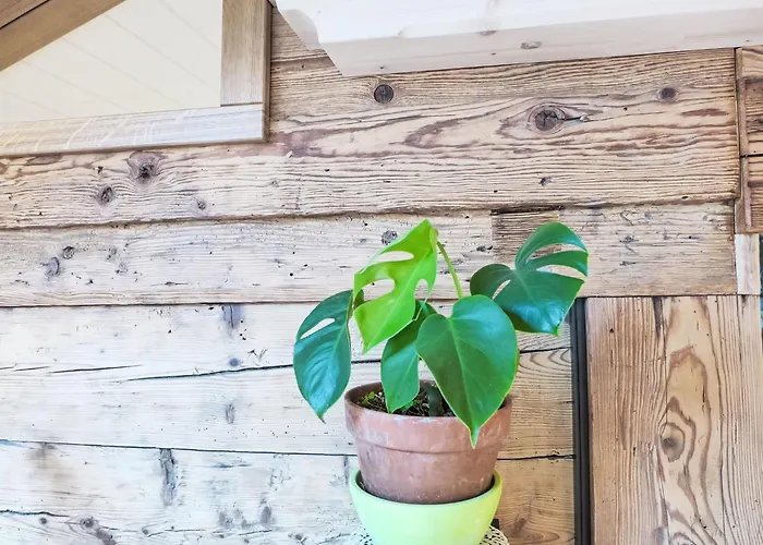 Beim Thor Gross By Interhome شقة